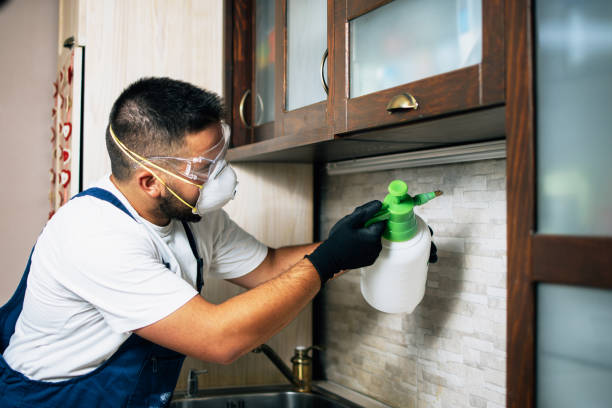 Best Best Pest Control Companies  in Caddo Mills, TX
