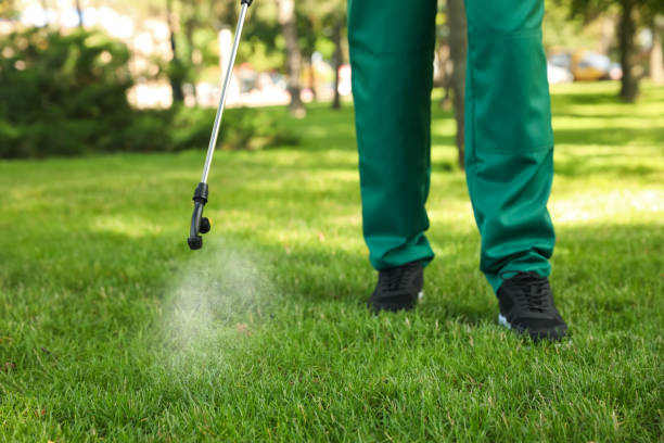 Best Insect Control  in Caddo Mills, TX