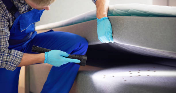 Best Wasp Removal Services  in Caddo Mills, TX