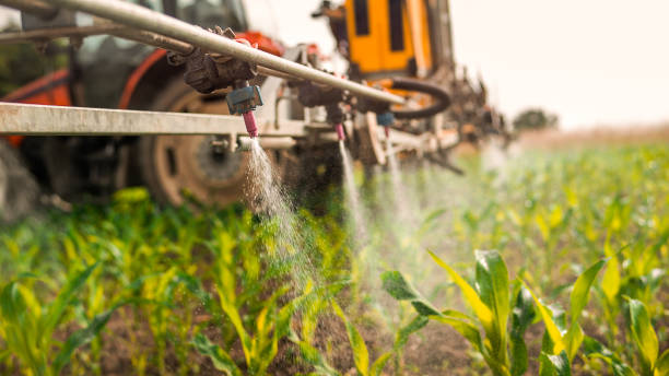 Best Pest Removal Services  in Caddo Mills, TX